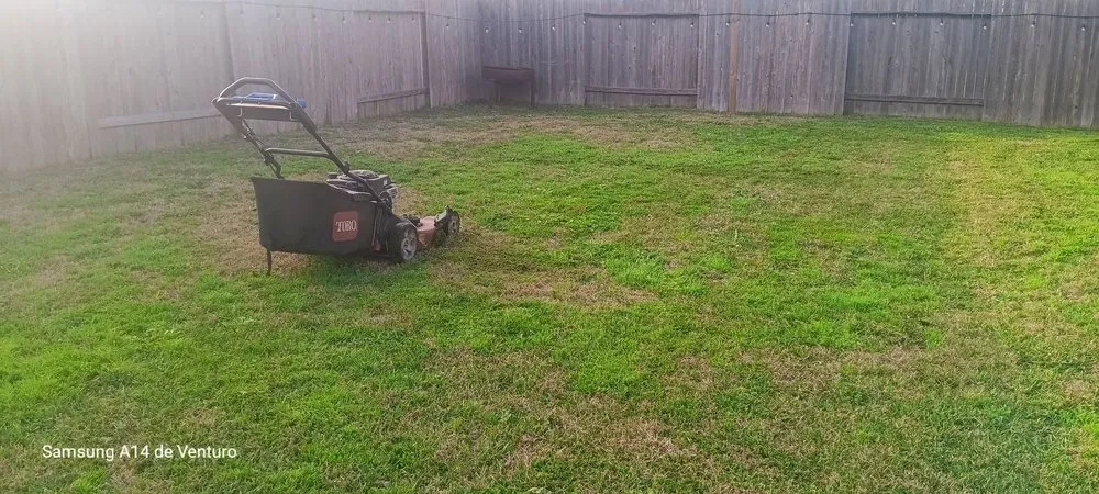 Top-rated garden landscaping experts serving Spring, TX - Rivera’s Lawn Care Services