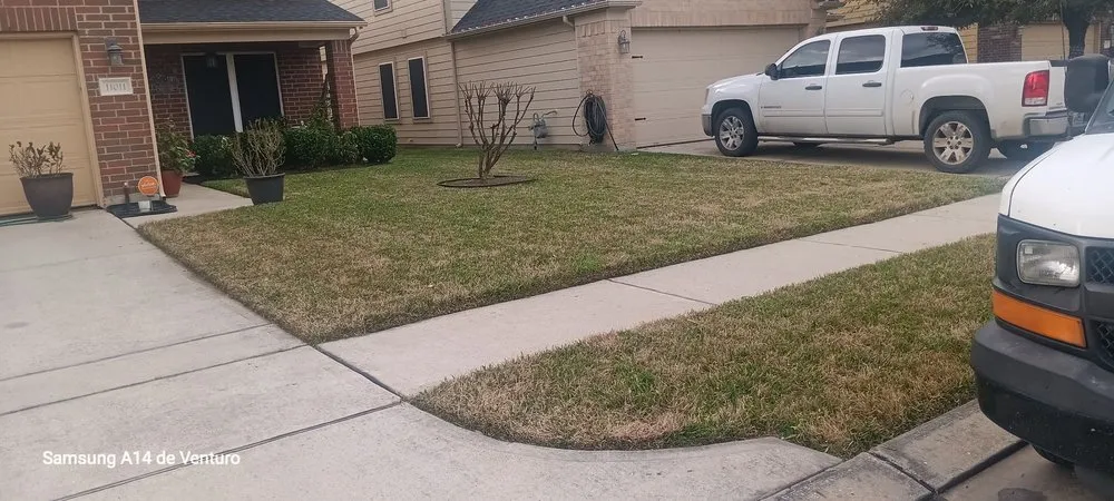 Affordable landscape installation for outdoor upgrades in Spring, TX by Rivera’s Lawn Care Services
