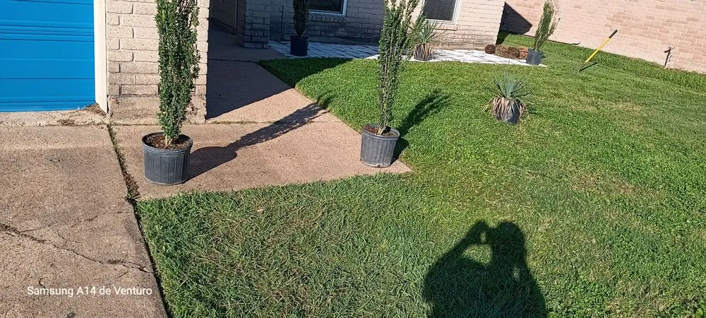 Top-rated outdoor landscaping for beautiful yards in Spring, TX by Rivera’s Lawn Care Services