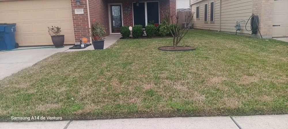 Expert yard maintenance experts serving Spring, TX - Rivera’s Lawn Care Services