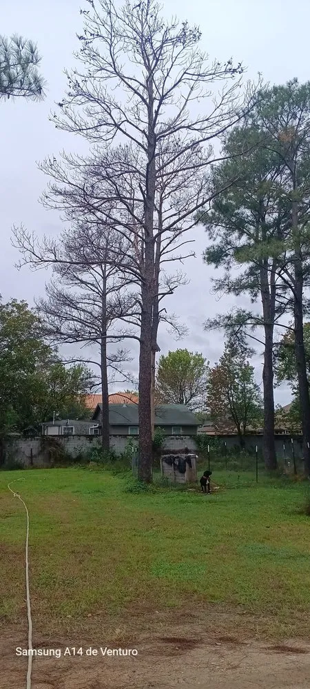 Custom lawn mowing service for residential properties across Spring, TX - Rivera’s Lawn Care Services