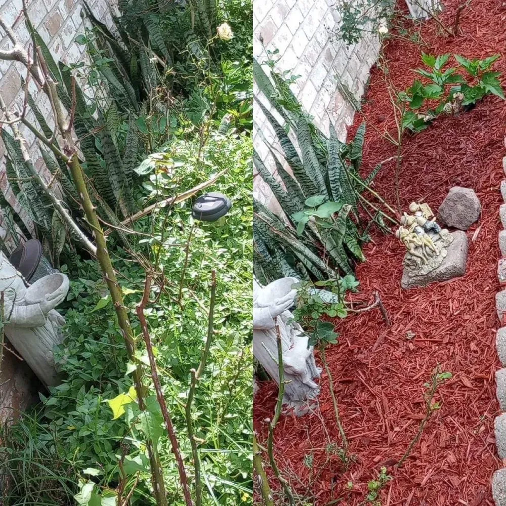 Top-rated lawn mowing service near you across Spring, TX - Rivera’s Lawn Care Services