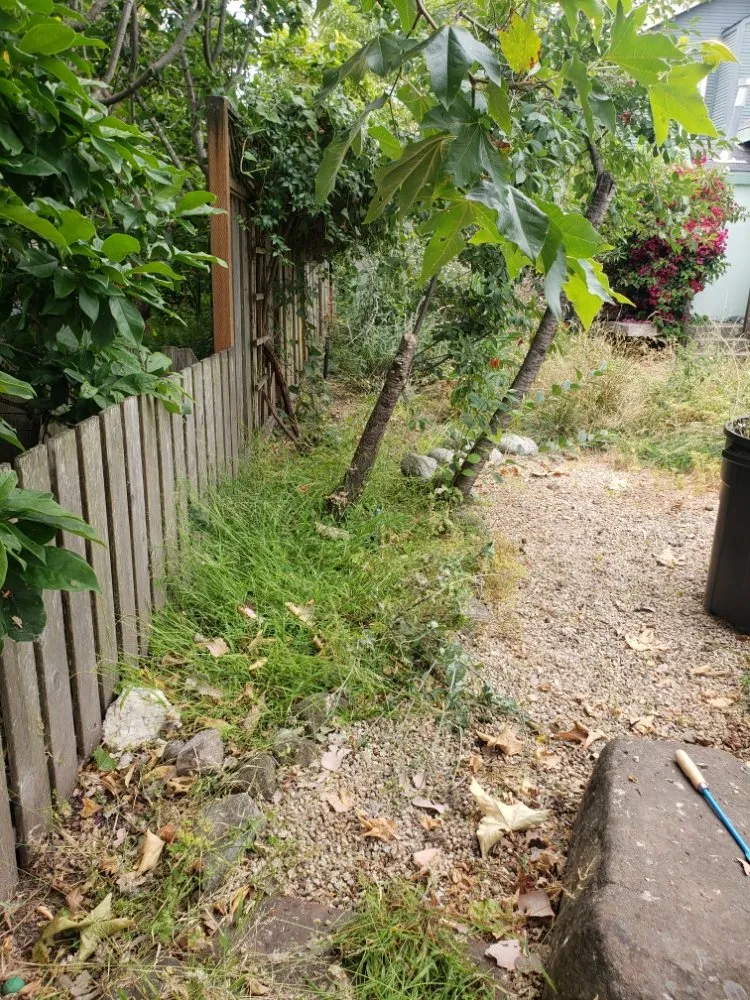 Custom landscape design for outdoor upgrades across watsonville, CA - Rivera's lawn service