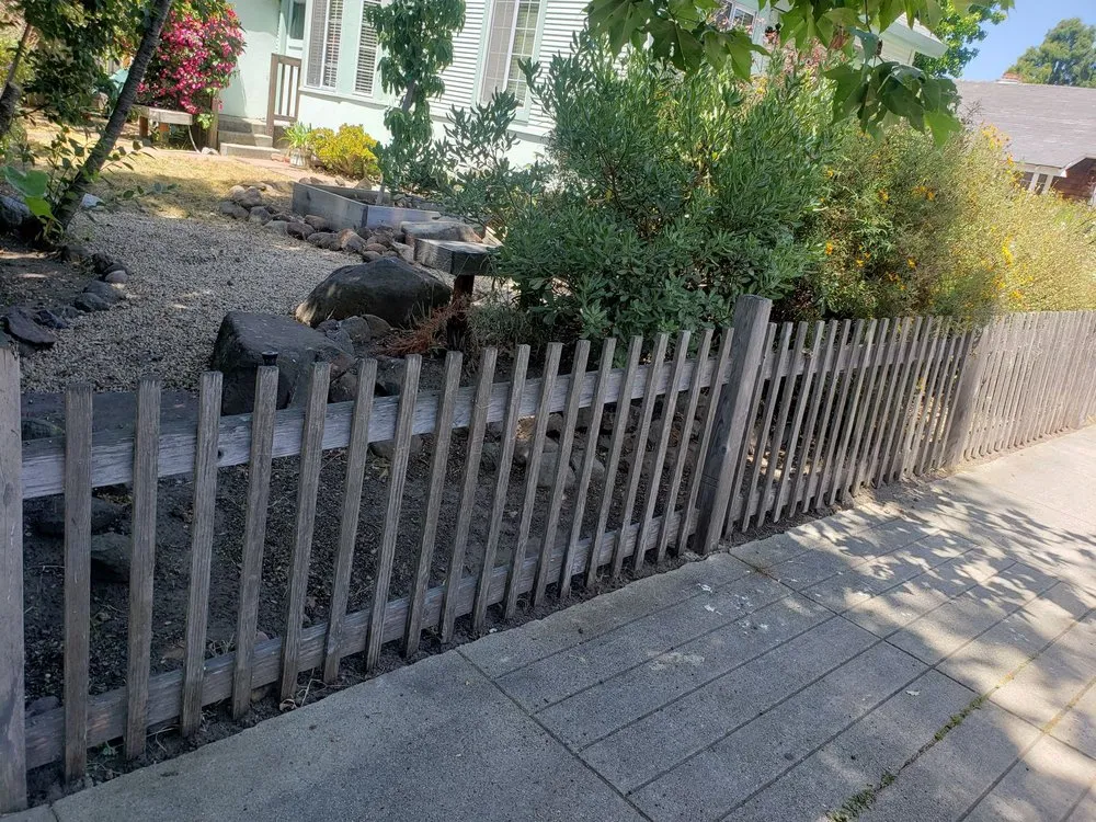 Professional yard maintenance for beautiful yards in watsonville, CA by Rivera's lawn service