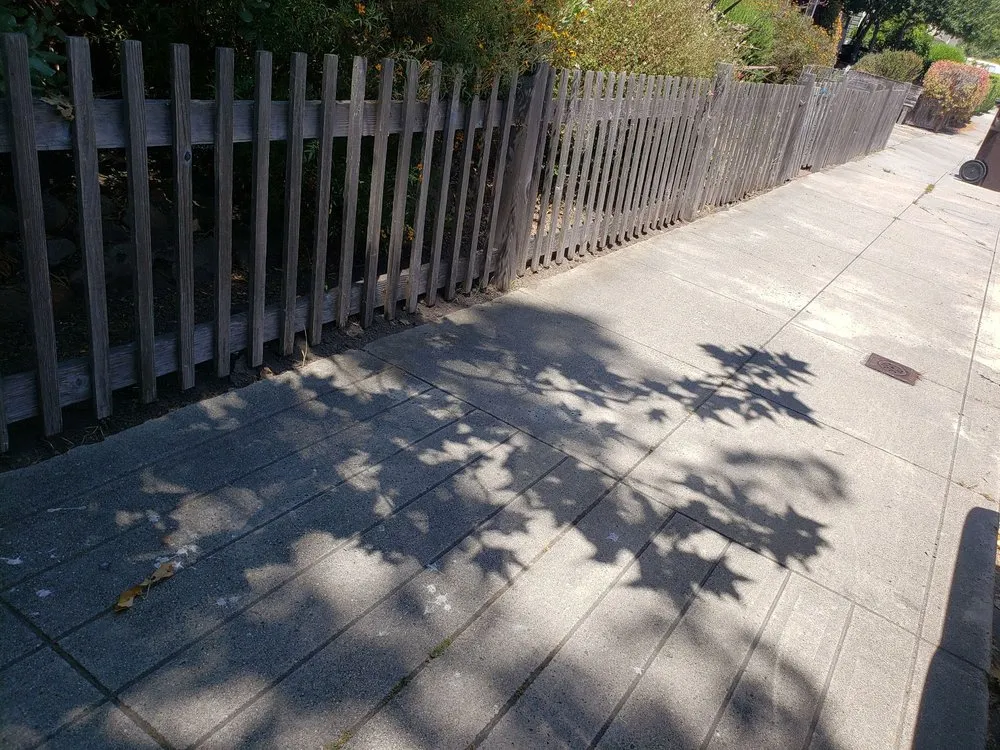 Custom landscaping services for year-round maintenance in watsonville, CA by Rivera's lawn service