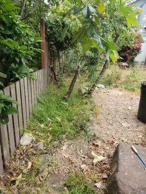 Rivera's lawn service Logo