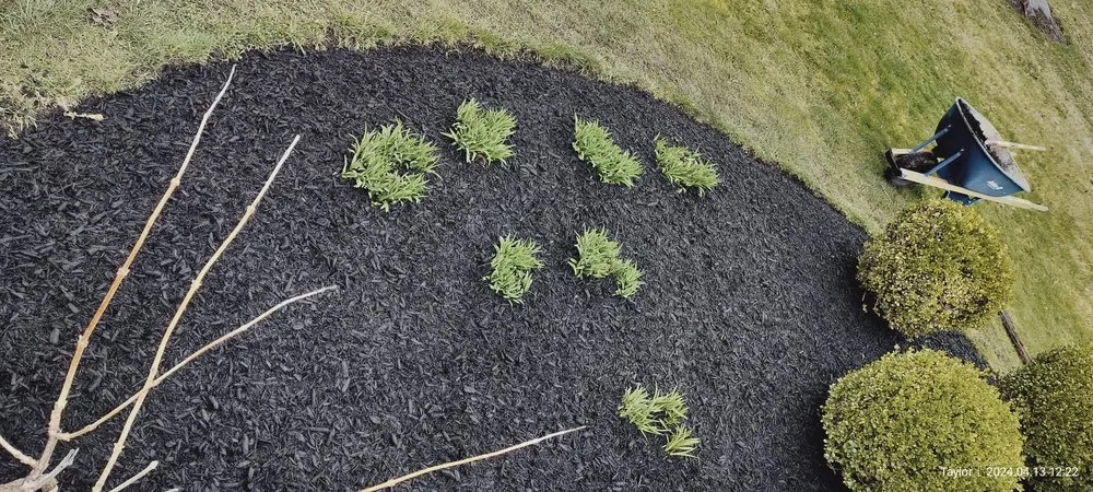 Reliable landscaping services in Scranton, PA - Rivera's Lawncare Landscaping Services