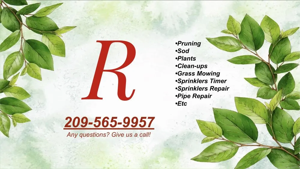 Expert yard maintenance in Stockton, CA by Rivera’s Maintenance