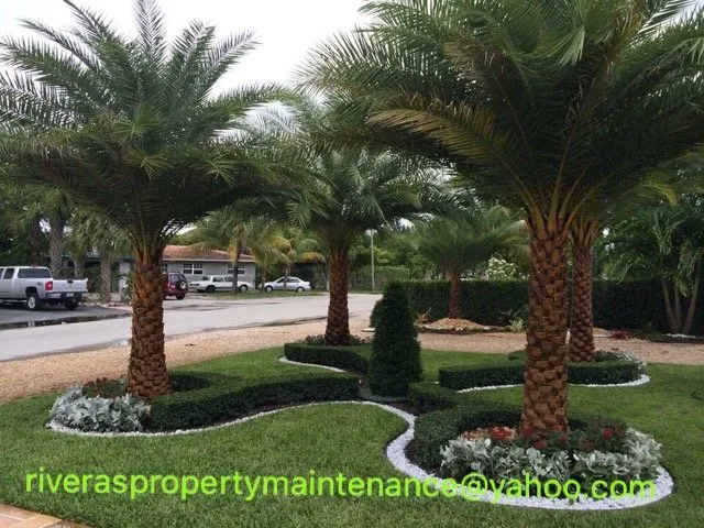 Professional landscaping services in Fort Lauderdale, FL by Riveras Property Maintenance