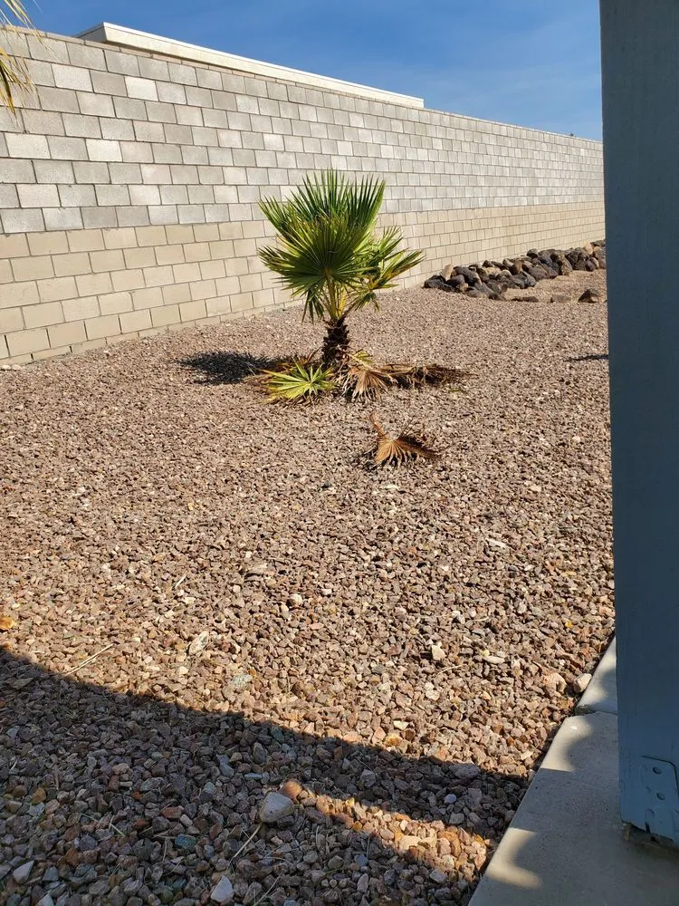 Local landscape design in Bullhead City, AZ - Rivera's Services
