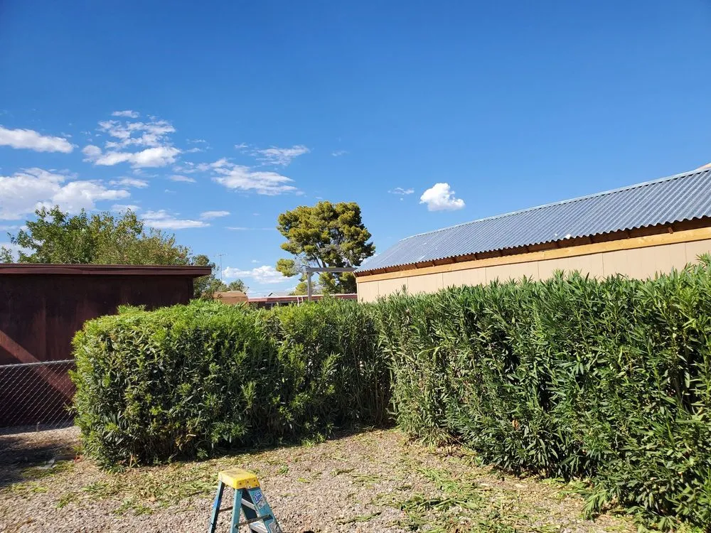 Local yard maintenance experts serving Bullhead City, AZ - Rivera's Services