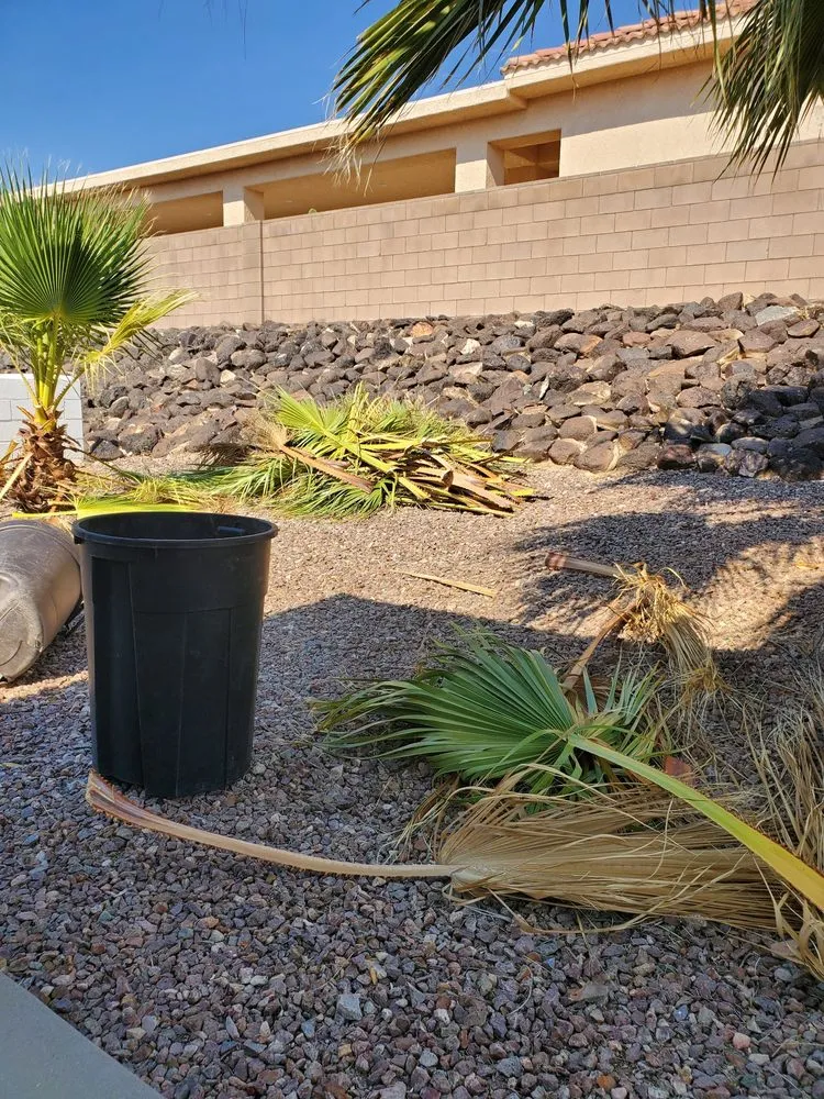 Top-rated garden landscaping for beautiful yards across Bullhead City, AZ - Rivera's Services