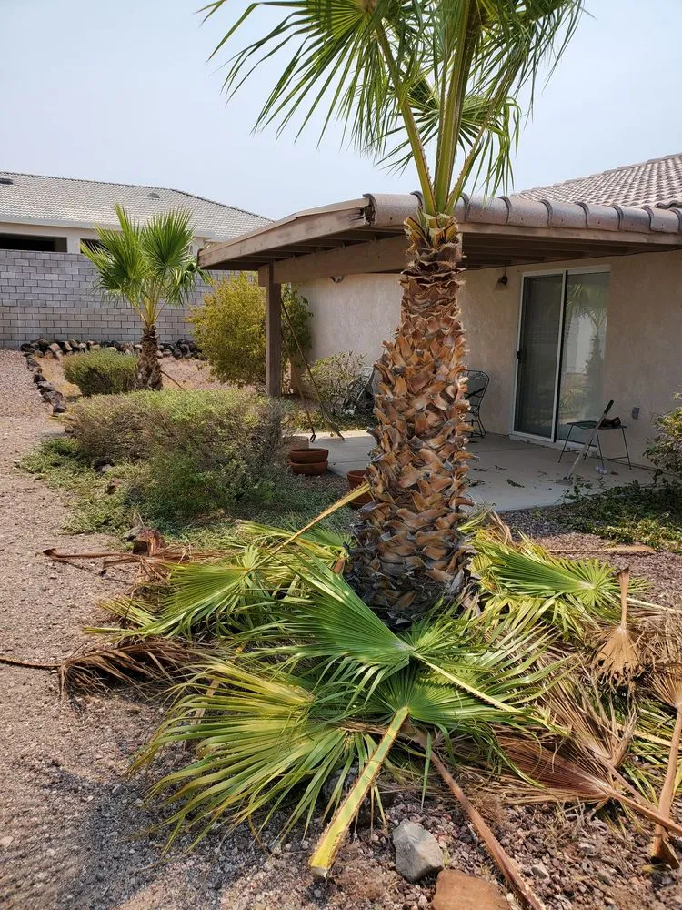 Professional yard maintenance with custom design across Bullhead City, AZ - Rivera's Services