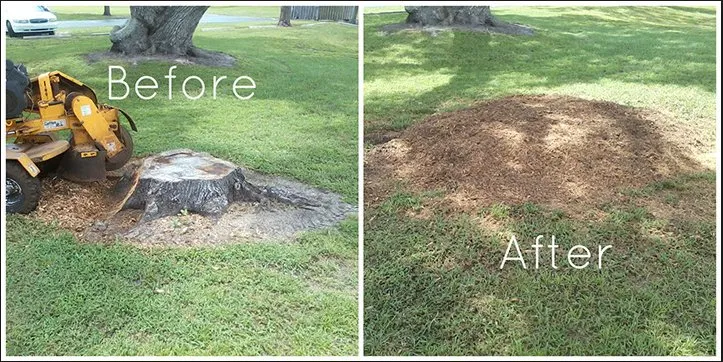 Local landscape installation in Riverdale, GA - Rivera’s Stump Grinding