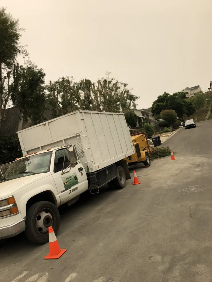 Expert residential landscaping experts serving Lake Forest, CA - Rivera's Tree Services