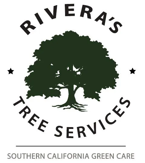 Expert residential landscaping for outdoor upgrades across Lake Forest, CA - Rivera's Tree Services