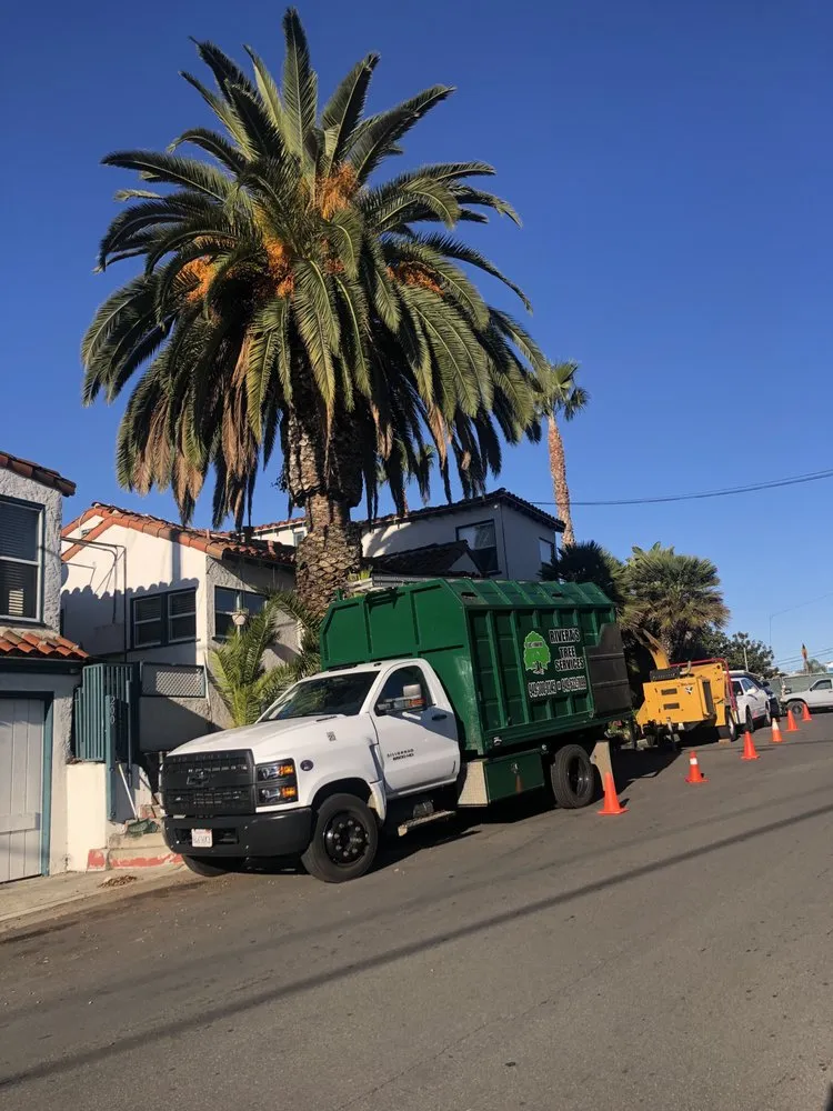 Expert residential landscaping in Lake Forest, CA - Rivera's Tree Services