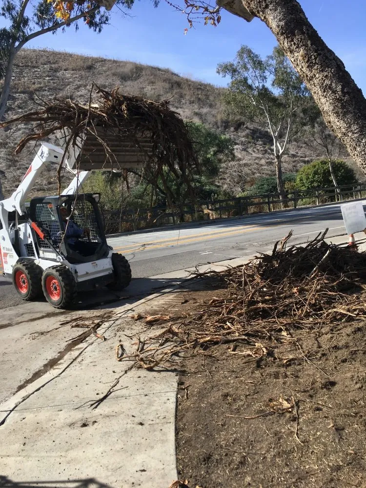 Custom yard maintenance experts serving Lake Forest, CA - Rivera's Tree Services