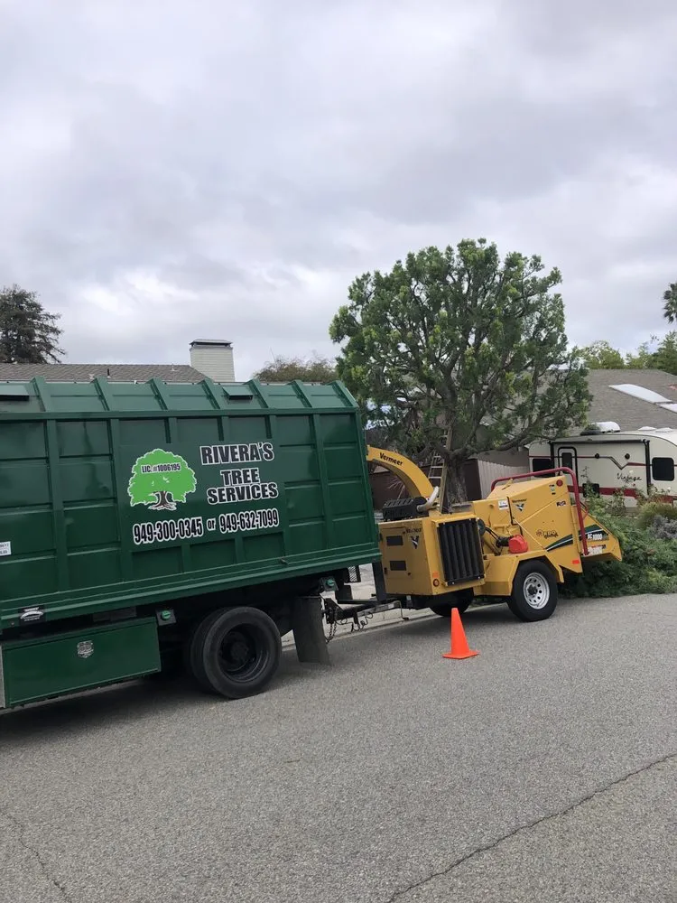 Top-rated yard maintenance for residential properties in Lake Forest, CA by Rivera's Tree Services
