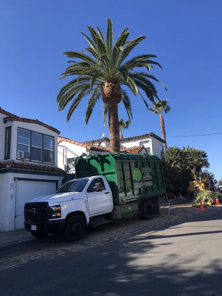 Local landscaping services for year-round maintenance in Lake Forest, CA by Rivera's Tree Services