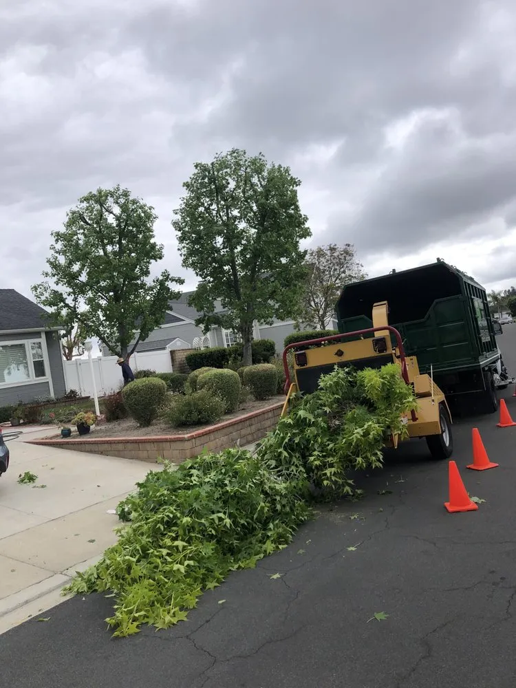 Local residential landscaping in Lake Forest, CA - Rivera's Tree Services