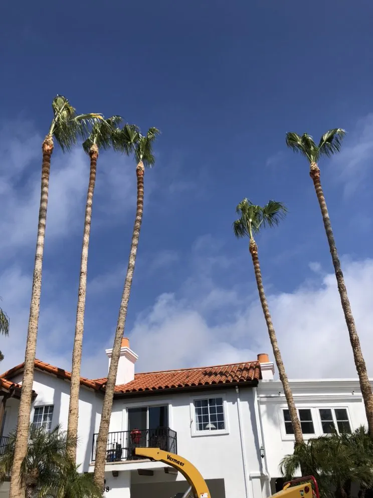 Reliable outdoor landscaping for homes across Lake Forest, CA - Rivera's Tree Services