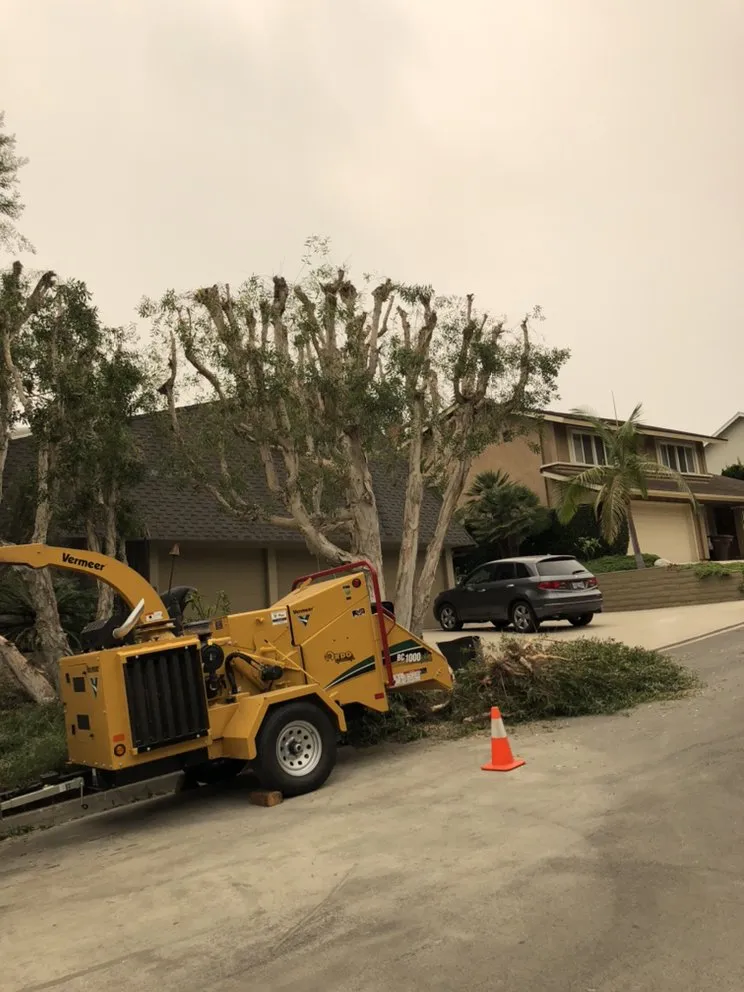 Expert landscape design in Lake Forest, CA - Rivera's Tree Services