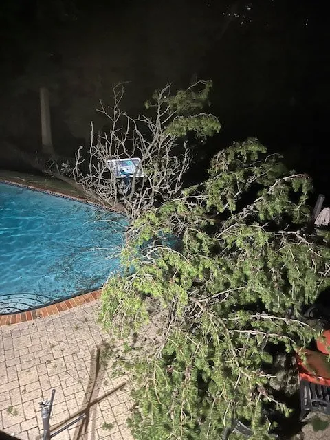 Custom yard cleanup service near you across Sterling, VA - Riverbend Landscapes & Tree Service