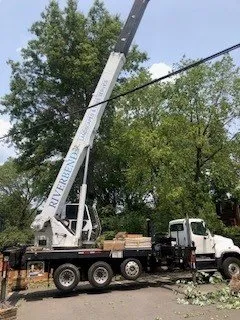 Top-rated landscaping services near you across Sterling, VA - Riverbend Landscapes & Tree Service