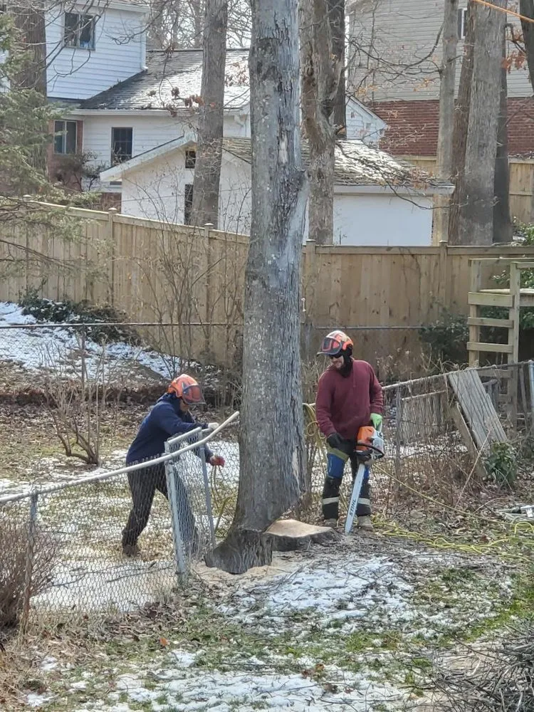 Expert lawn mowing service with custom design across Sterling, VA - Riverbend Landscapes & Tree Service