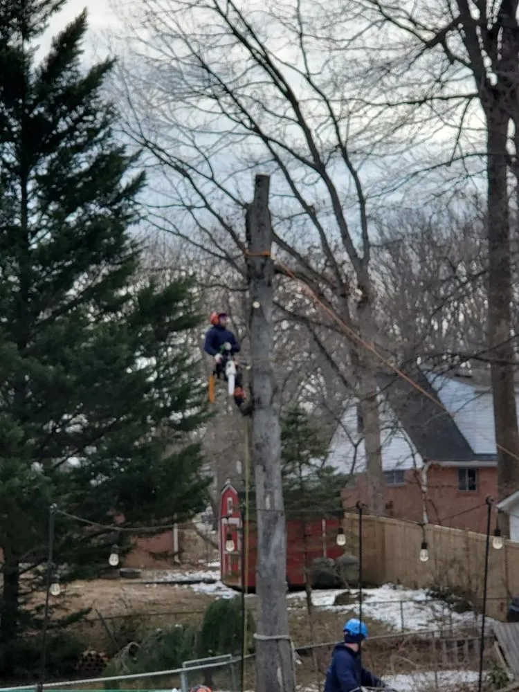 Affordable landscaping services for residential properties across Sterling, VA - Riverbend Landscapes & Tree Service