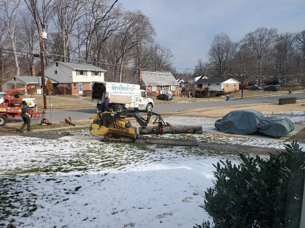 Trusted lawn mowing service in Sterling, VA by Riverbend Landscapes & Tree Service