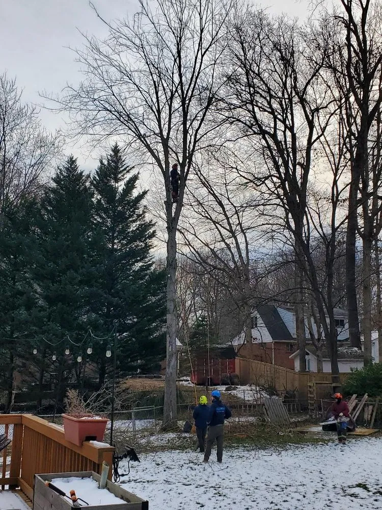 Affordable lawn mowing service for beautiful yards across Sterling, VA - Riverbend Landscapes & Tree Service