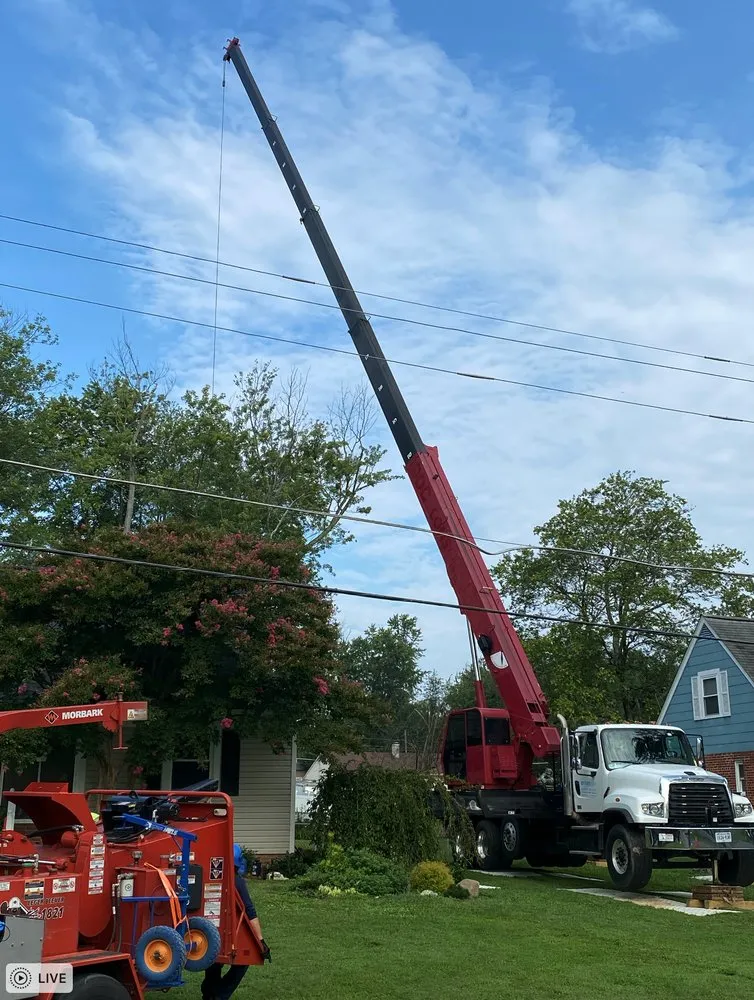 Professional landscaping services for homes in Sterling, VA by Riverbend Landscapes & Tree Service