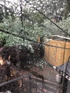 Custom outdoor landscaping with custom design in Sterling, VA by Riverbend Landscapes & Tree Service