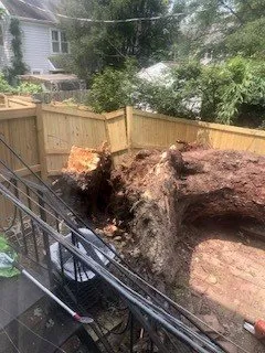 Professional landscaping services experts serving Sterling, VA - Riverbend Landscapes & Tree Service