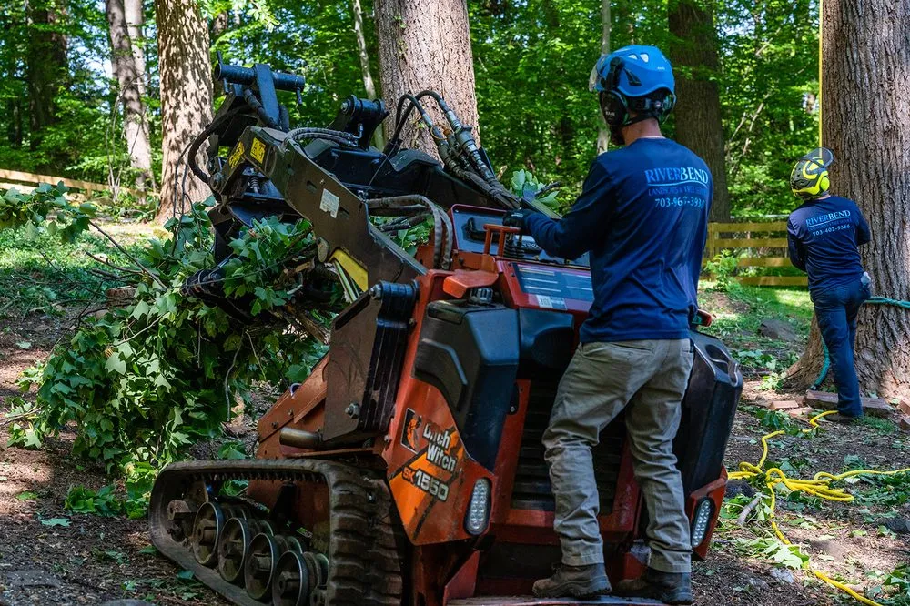 Reliable yard cleanup service with custom design across Sterling, VA - Riverbend Landscapes & Tree Service