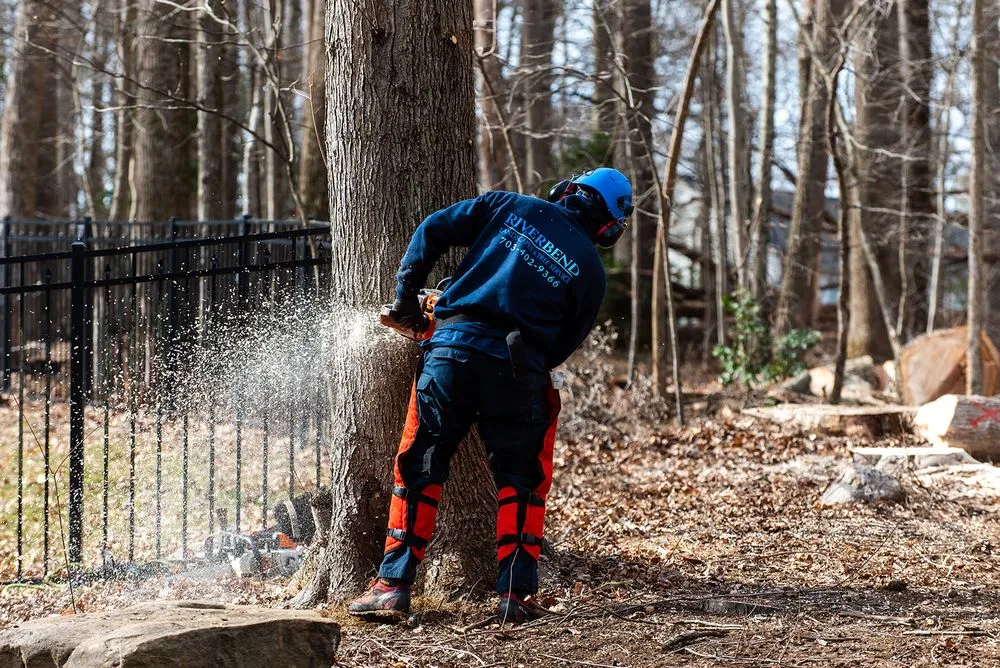 Affordable garden landscaping in Sterling, VA - Riverbend Landscapes & Tree Service