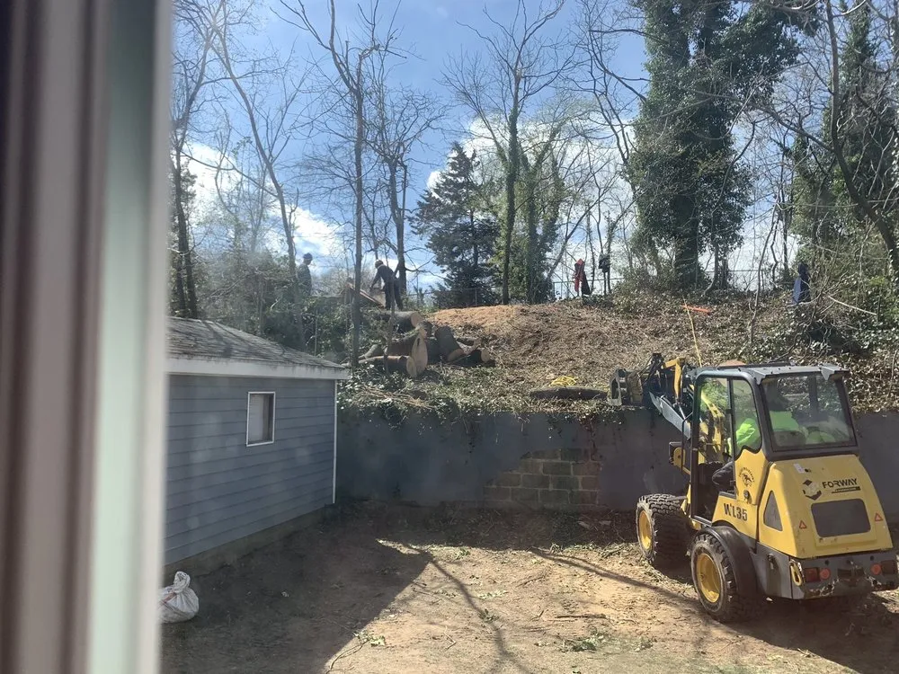 Expert landscape installation near you in Sterling, VA by Riverbend Landscapes & Tree Service