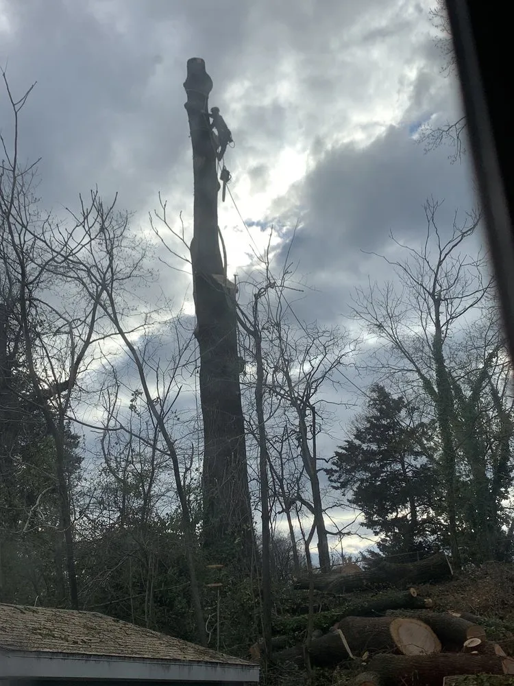 Custom outdoor landscaping for residential properties in Sterling, VA by Riverbend Landscapes & Tree Service