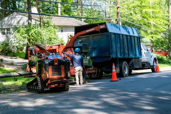 Riverbend Landscapes & Tree Service Logo