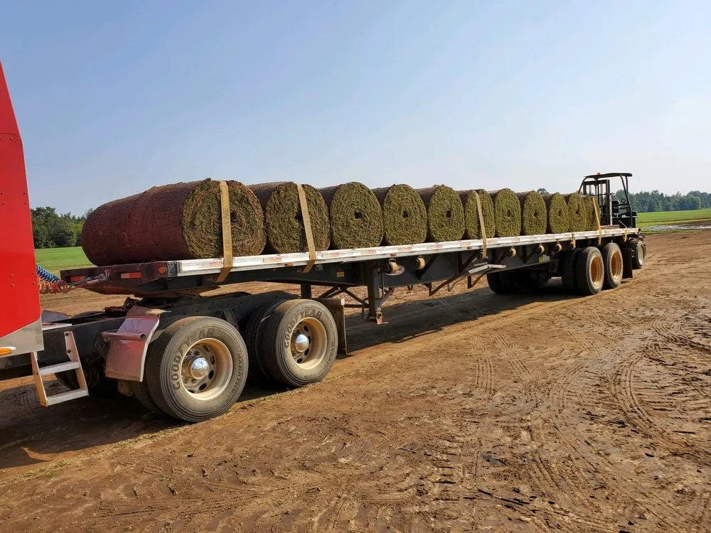 Reliable yard cleanup service in Lowndesboro, AL - Riverbend Sod