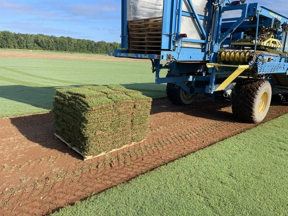 Custom outdoor landscaping in Lowndesboro, AL - Riverbend Sod