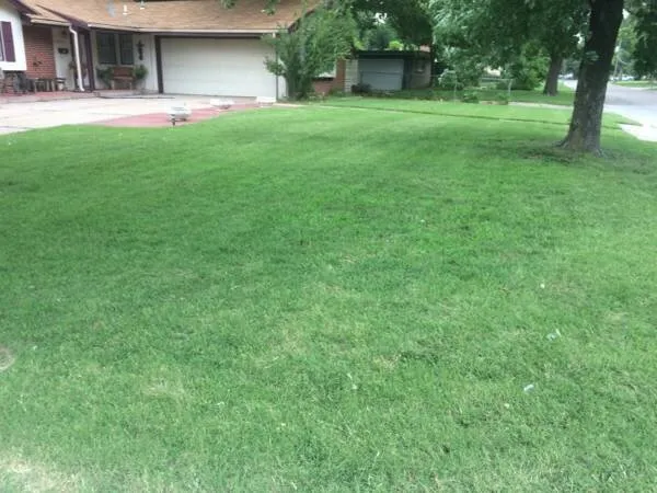 Custom residential landscaping in Andover, KS by Riverbirch Lawn Care