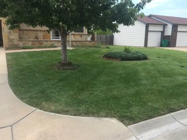 Top-rated yard cleanup service near you in Andover, KS by Riverbirch Lawn Care