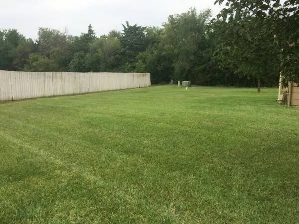 Expert lawn care service for outdoor upgrades in Andover, KS by Riverbirch Lawn Care