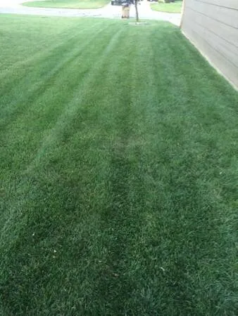 Top-rated yard maintenance experts serving Andover, KS - Riverbirch Lawn Care