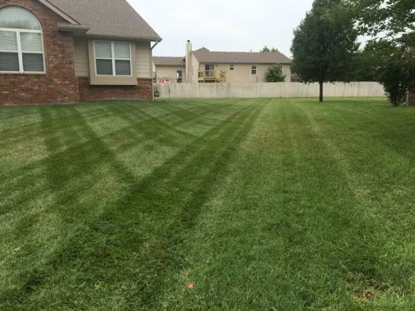 Trusted landscape installation for year-round maintenance in Andover, KS by Riverbirch Lawn Care