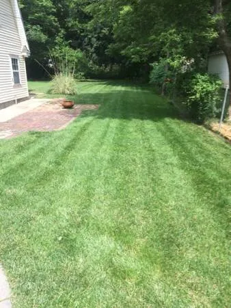 Top-rated landscaping services experts serving Andover, KS - Riverbirch Lawn Care