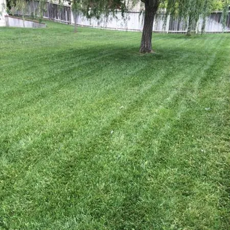 Local lawn care service in Andover, KS - Riverbirch Lawn Care